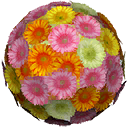 bu_ball_of_flowers bu_ball_of_flowers