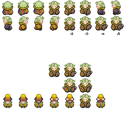 PokeBW_Overworld_sage1_r25524.png