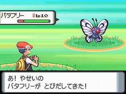 PKMNDP_Jun06_FemaleButterfree.jpg