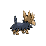 PokemonBWProto-22453-507b.png