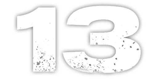 13
