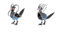 PokeBW_Development_529_back2_r3780.png