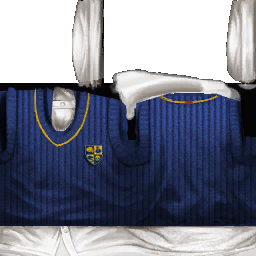 BullySEWii_S_Sweater_5.png