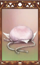 BKEW_JP_Magnus_586.png
