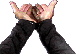 swjan95_2004.png swjan95_2004.png