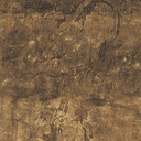 TFA2004_pacificIslandLevel_BC5.png
