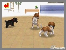 NintendogsFebruary2005Screenshot26.jpg NintendogsFebruary2005Screenshot26.jpg