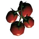 bu_tomato bu_tomato