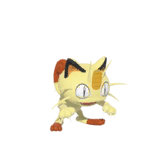 NPS_p146-B.png