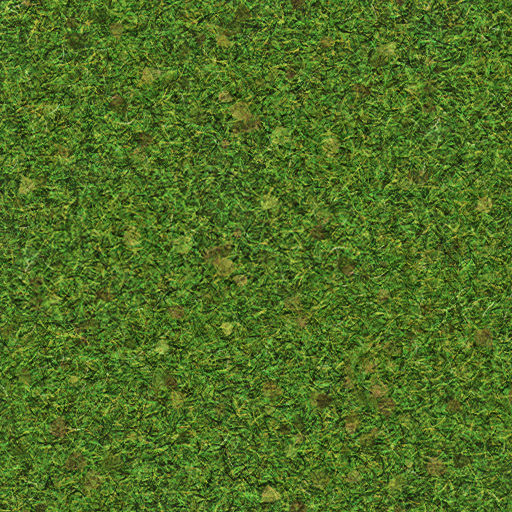 Roblox_Grass_Texture_2009.jpg