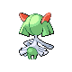 312PokeDPBackM281-0.png 312PokeDPBackM281-0.png