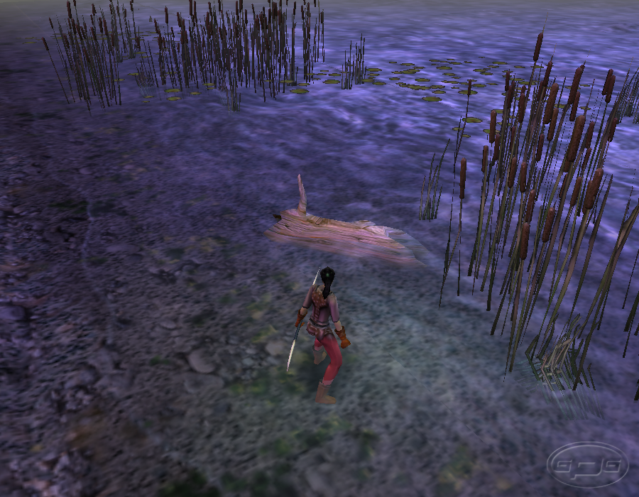 DungeonSiege-Swamp1.png DungeonSiege-Swamp1.png