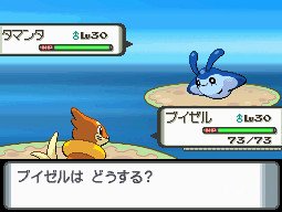 PKMNDP_buizerutamanta.jpg