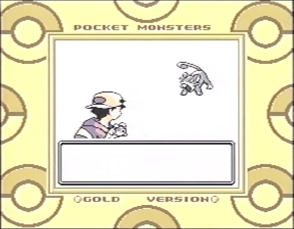 PkmnGS-VideoBattle.jpg