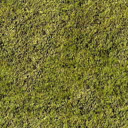 CSCZ-grassomatic.png CSCZ-grassomatic.png