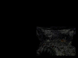 Biohazard_GoryCreditsSample5.png