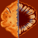 Rayman3_FinalTextures_Wood_veg07.png