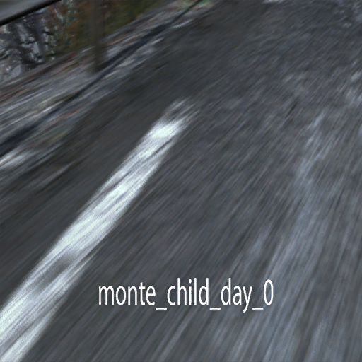 DiRTRally-monte_child_day_0.png