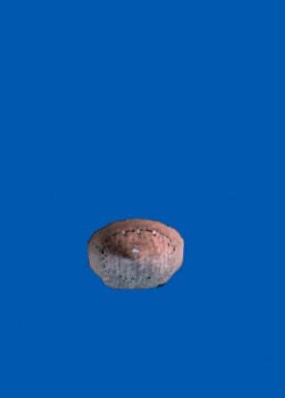 side_compact_into_seat.anim