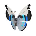 NPS_p034-1F.png