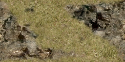 DungeonSiege-b_t_grs02_wal_08x04-d.png