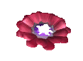 A red flower icon from the TIR minigame, broken.