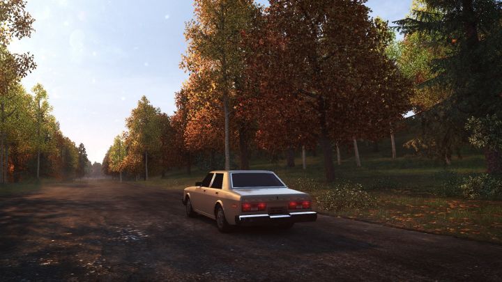 The_Crew_Removed_Old_Traffic_Car_Grey.jpeg