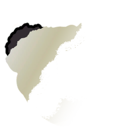 T_SadManda_Ripped T_SadManda_Ripped