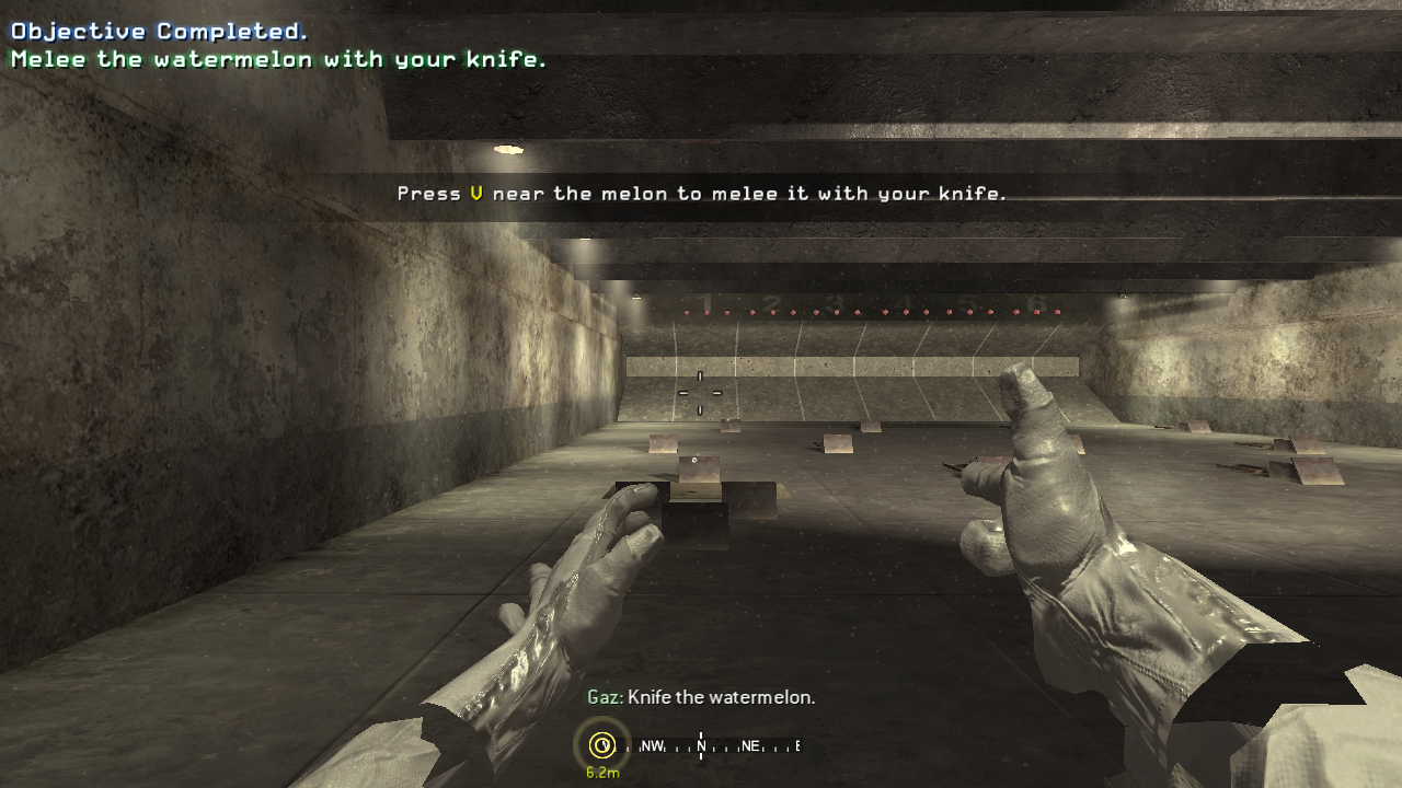 The Default Weapon, as spawned in the mission F.N.G.