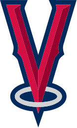V_logo_1.png