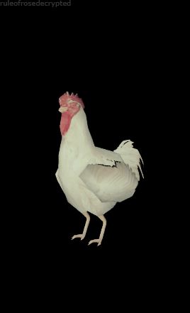 Rule_of_Rose_Chicken_4.gif