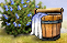 Lack of bushes. Lack of bushes.