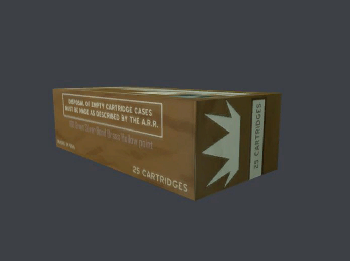 Ammunition magically enters your inventory and is not listed for the player.