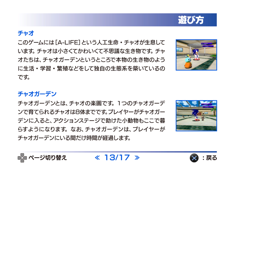 SonicAdventureDX2011_PS3Manual13.png