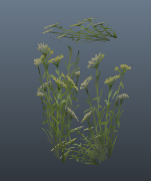 grass1_1