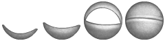 MSM_cold_wubbox_eyelids.png