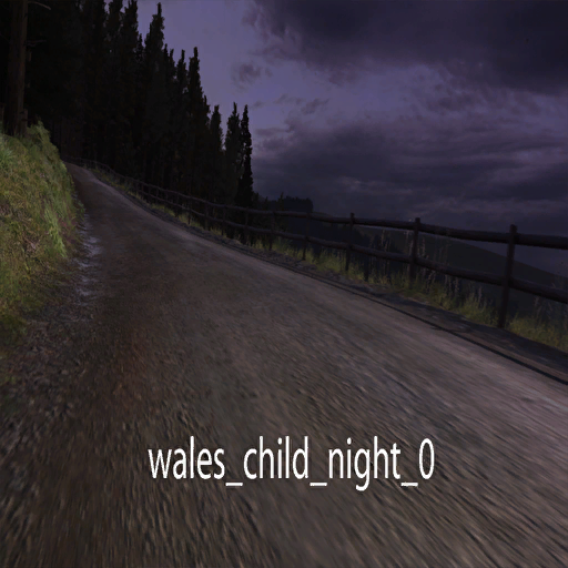 DiRTRally-wales_child_night_0.png