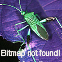 DeusEx-InvisibleWar-Xbox-_Missing.png