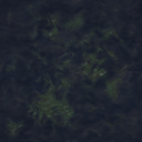 DungeonSiege-b_t_xxx_h2o_2a-3.png