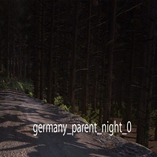 DiRTRally-germany_parent_night_0.png