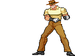 Jojos-HP-Unused-Hermit-Web-2.gif