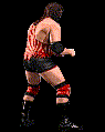 wwfwrestarc-A2FG3A.gif