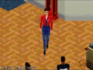 Ts1_simswebcam72999.gif