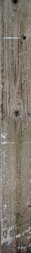 The Texture