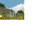 CMR04_xbox_final_icons_uk_s2.png