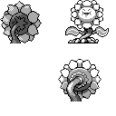 PM2B_192.CBB.w128.png
