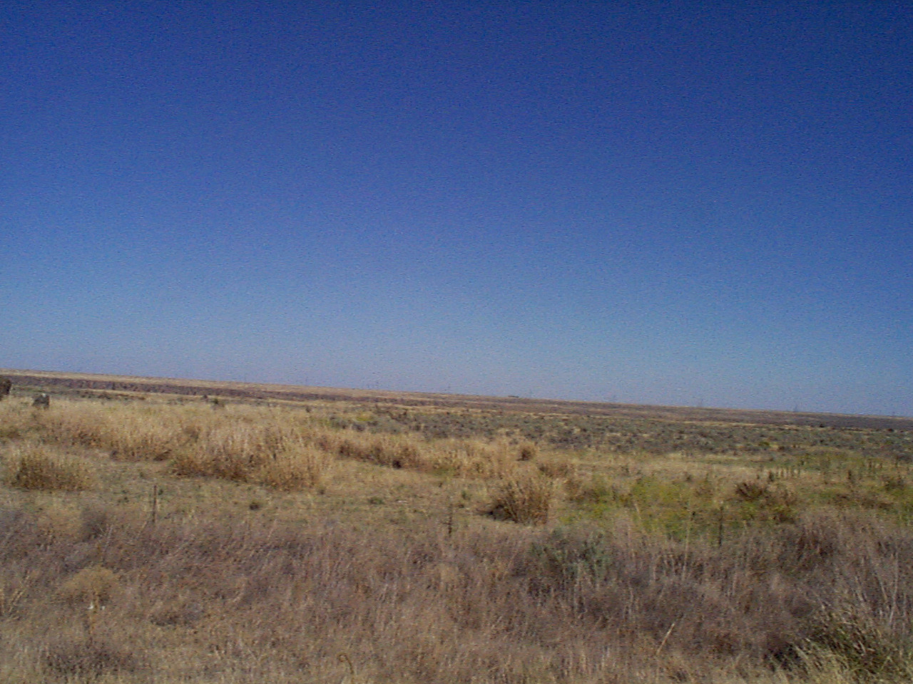 desert10 desert10