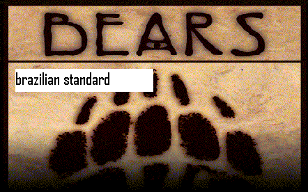 BroBear_splashBS.png BroBear_splashBS.png