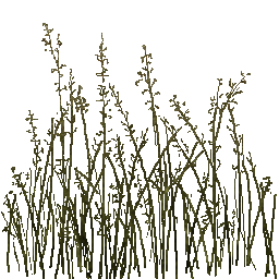 CMR3_PS2_TEMP_GR_GRN.png