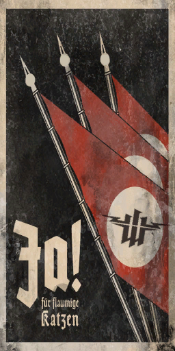 WolfensteinMP-poster_flags_01.png